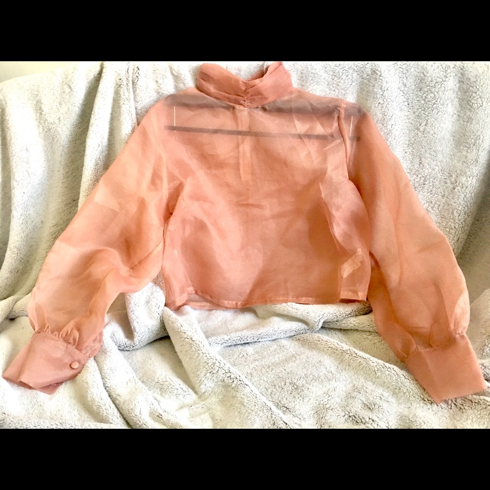 Sheer cropped blouse